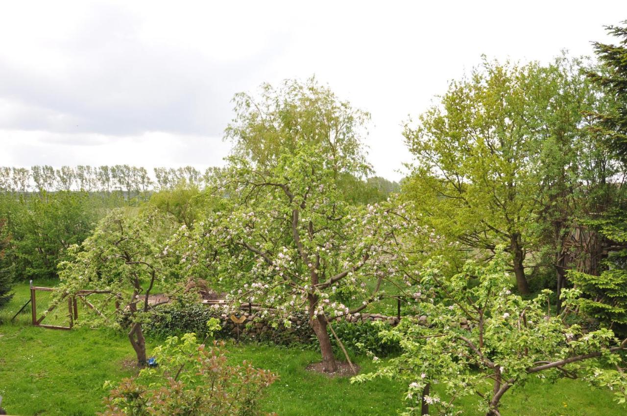 Sommerferienhaus Nienhagen