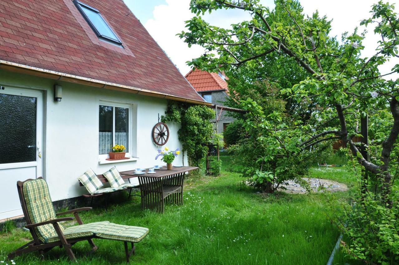 Sommerferienhaus *
